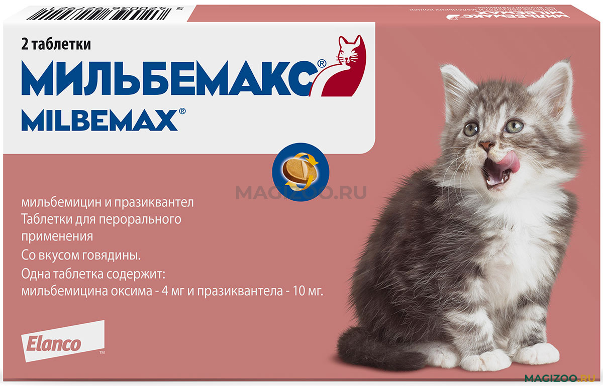 Купить таблетки от глистов Мильбемакс для крупных кошек, котят и котов,  цена глистогонного средства Milbemax в Москве
