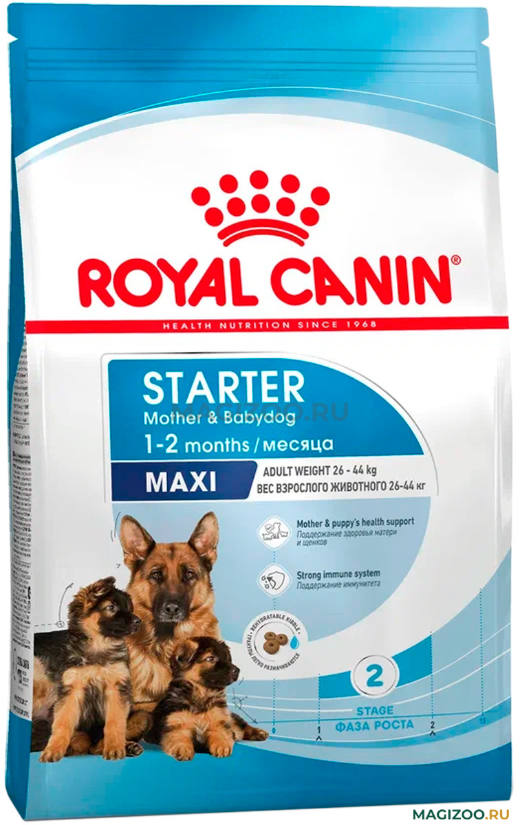 Корм starter. Royal Canin Starter для щенков. Корм Роял Канин стартер Медиум. Роял Канин макси стартер. Роял Канин стартер Медиум для щенков.