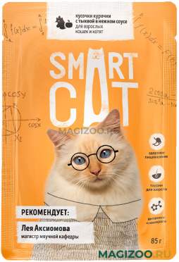 Влажный корм (консервы) SMART CAT для кошек и котят с кусочками курицы и тыквой в соусе пауч (85 гр) 