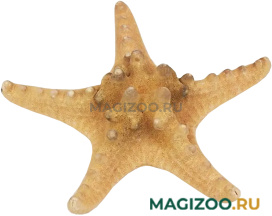 Декорация для аквариума Prime Морская звезда пластиковая 8 х 7,5 х 1,5 см (1 шт)