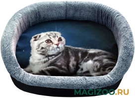 Лежак для кошек PerseiLine Rich Breed Дизайн № 5 принт 3 овальный 55 х 47 х 16 см (1 шт)
