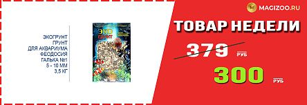 Грунт ЭКОГРУНТ! Выгодная цена!