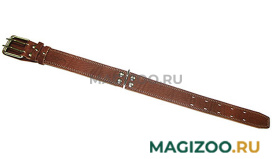 Ошейник для собак кожаный коньячный 50 - 66 см x 45 мм Аркон (1 шт) 