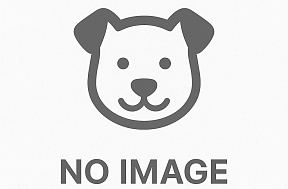 Обзор корма Acana для собак