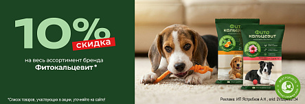ФИТОКАЛЬЦЕВИТ со скидкой 10%!