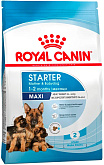 ROYAL CANIN MAXI STARTER для щенков крупных пород до 2 месяцев, беременных и кормящих сук (15 кг)