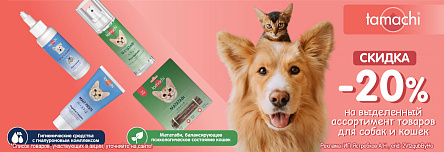 TAMACHI со скидкой 20%!
