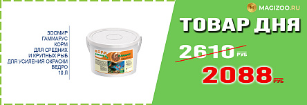 Корм ЗООМИР для рыб!