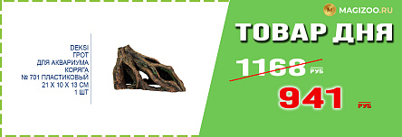 Грот DEKSI для аквариума!
