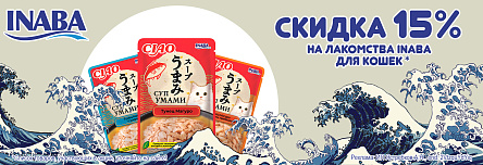 Лакомство INABA со скидкой 15%!
