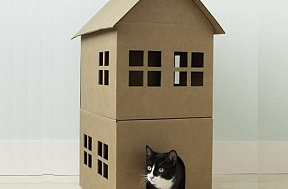 Как сделать домик для кошки?