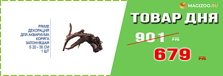 Декорация PRIME для аквариума!