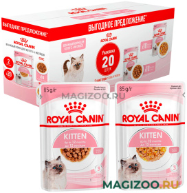 Влажный корм (консервы) ROYAL CANIN KITTEN набор паучей для котят в соусе и желе мультипак пауч (85 гр х 20 шт)