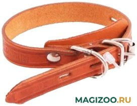 Ошейник для собак кожаный одинарный простой, рыжий, шир. 10 мм, ZooMaster (25 см)