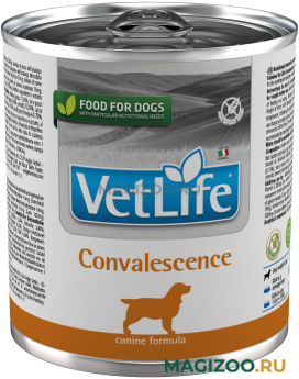 Влажный корм (консервы) FARMINA VET LIFE CANIN CONVALESCENCE для взрослых собак в период выздоровления 300 гр (300 гр)