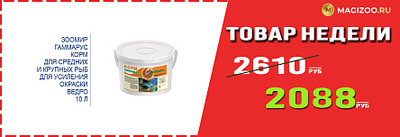 Корм ЗООМИР! Выгодная цена!