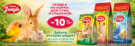 HAPPY JUNGLE со скидкой 10%!